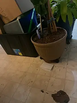 Thickirishcock850 online show from 03.23.26