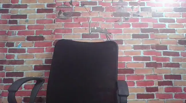 telugu indhu 0001 online show from 12.24.24