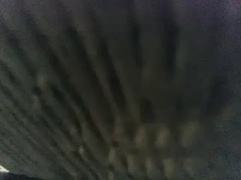 Snapshot of party51502 chatting on 03.08.25 party51502 online show from 03.08.25