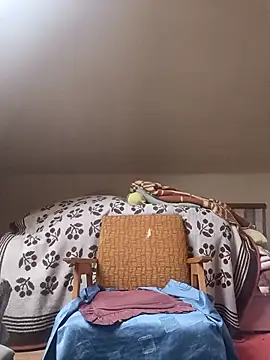 danitomii online show from 03.31.26