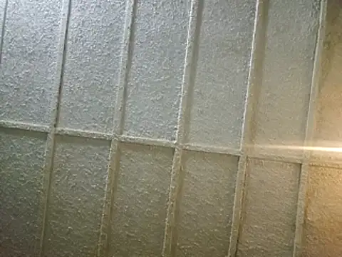 zaneporter46 online show from 02.08.25