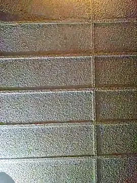 zaneporter46 online show from 02.10.25