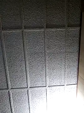 zaneporter46 online show from 03.01.25