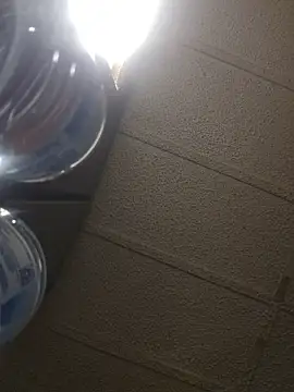 zaneporter46 online show from 02.16.26