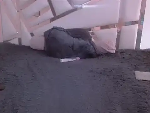 GabrielaFerrer02 online show from 01.25.25