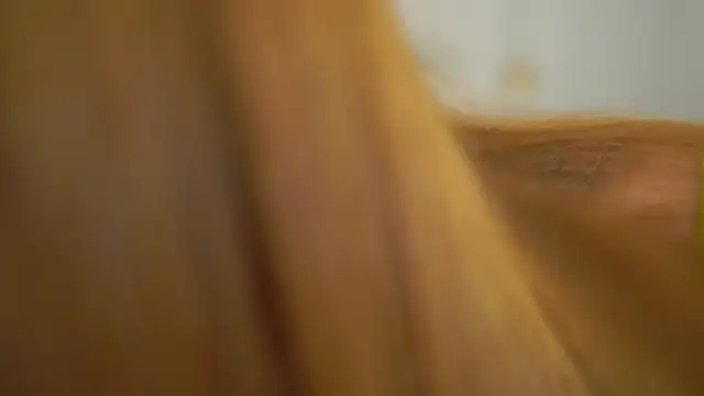 dietmountaindew  online show from 04.30.26