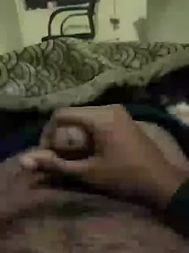 chinchi online show from 01.11.25