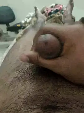 chinchi online show from 02.17.25