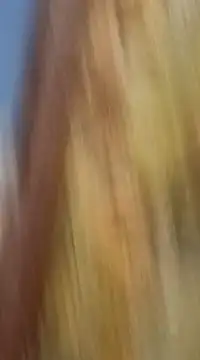 Snapshot of mksharma-mastlund chatting on 01.21.25 mksharma-mastlund online show from 01.21.25