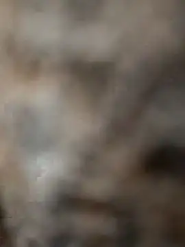 Snapshot of mksharma-mastlund chatting on 01.24.25 mksharma-mastlund online show from 01.24.25