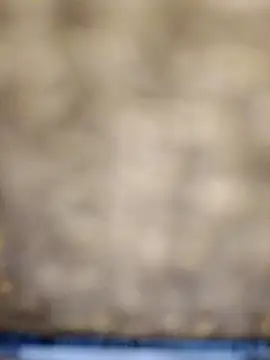 618fuckupp online show from 10.27.25