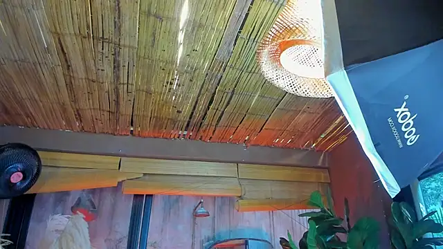 MarcoVitto online show from 11.18.25