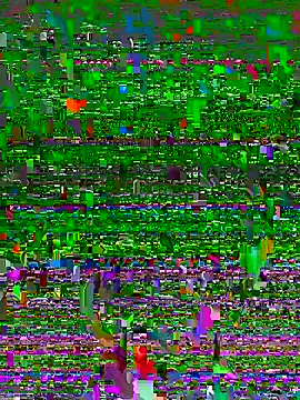 Snapshot of Prolisok473 chatting on 01.22.25 Prolisok473 online show from 01.22.25