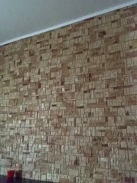 Snapshot of Prolisok473 chatting on 01.30.25 Prolisok473 online show from 01.30.25