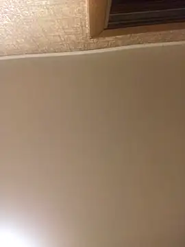 Snapshot of Prolisok473 chatting on 01.30.25 Prolisok473 online show from 01.30.25