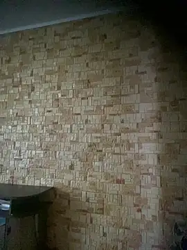 Snapshot of Prolisok473 chatting on 02.28.25 Prolisok473 online show from 02.28.25