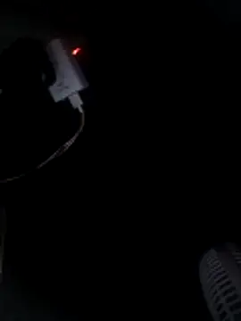 cusicat online show from 11.23.25