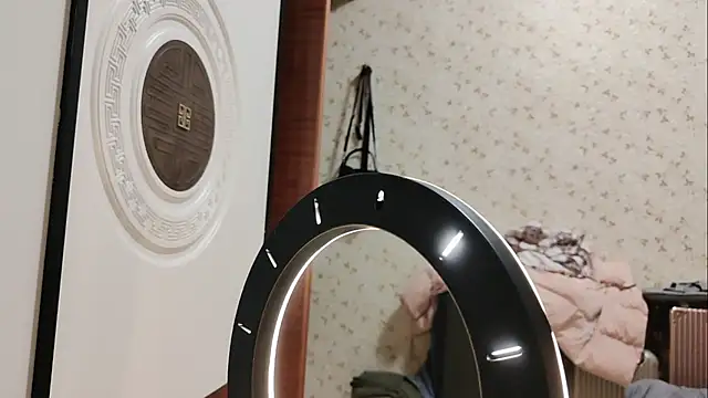 diandian-866 online show from 01.25.25