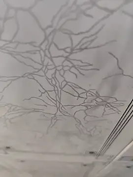 Snapshot of dreamers_dick chatting on 01.02.25 dreamers dick online show from 01.02.25