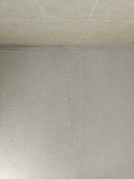 Snapshot of boobsTaylor chatting on 09.21.25 boobsTaylor online show from 09.21.25