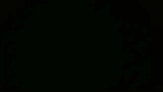 maison sofia1 online show from 03.28.26