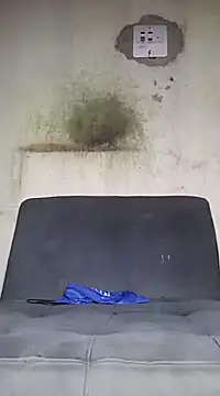 Kaizer1 online show from 10.14.25