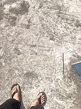 aryan 8051 online show from 01.12.25