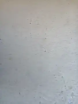 Pooja cut online show from 10.02.25