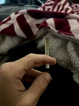 BCFZD online show from 12.04.25