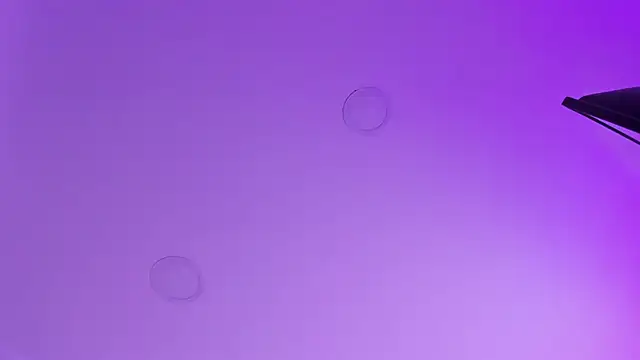 kathy bakerr online show from 03.18.26