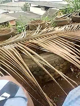 Snapshot of safado0027 chatting on 10.15.25 safado0027 online show from 10.15.25