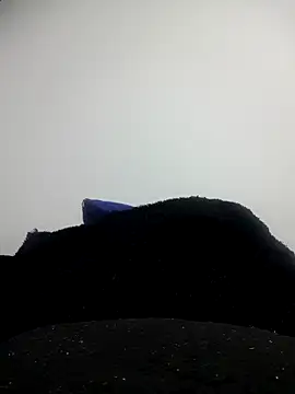 Snapshot of CHARLOTTE_1711 chatting on 10.11.25 CHARLOTTE 1711 online show from 10.11.25