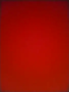 HarolddXL online show from 04.02.26