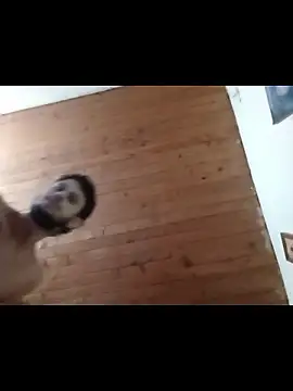 nxus77 online show from 12.15.25