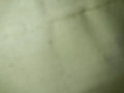 Ktosik88 online show from 01.18.26