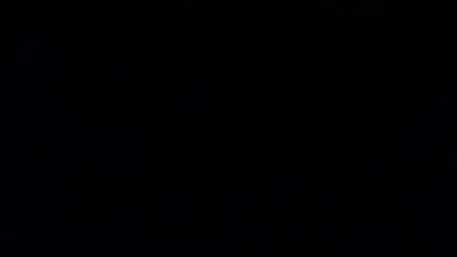 petina online show from 01.15.26