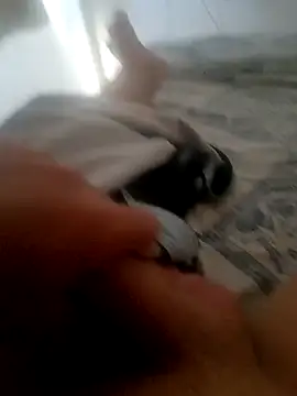 Snapshot of jacaranduba07 chatting on 01.14.25 jacaranduba07 online show from 01.14.25