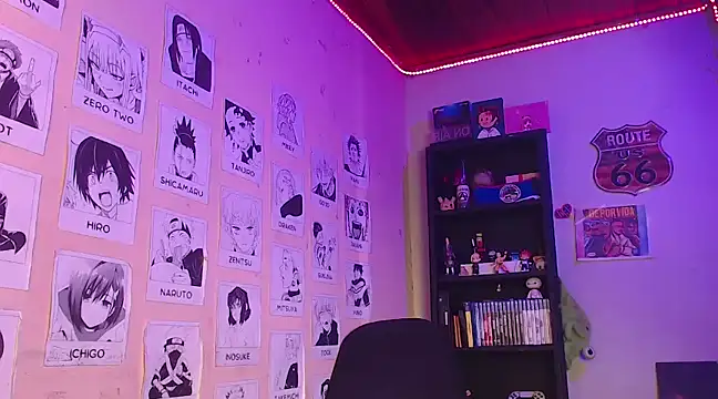 Snapshot of Mickey_Magic chatting on 01.17.25 Mickey Magic online show from 01.17.25