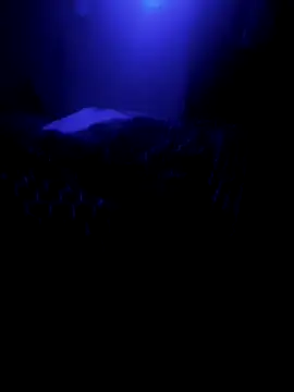 Snapshot of Raziv_komal143 chatting on 02.26.25 Raziv komal143 online show from 02.26.25