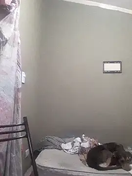 EstebanAkyLu online show from 04.27.26