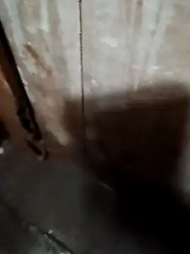 Raj41 online show from 09.20.25