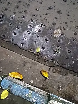 Raj41 online show from 09.20.25