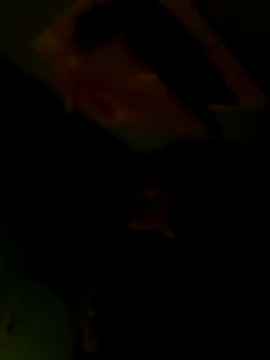 Raj41 online show from 02.08.26