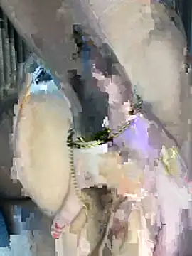 perolaa8 online show from 03.17.26