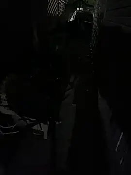 paullliliu online show from 06.11.26