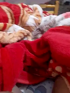 Snapshot of mhmia chatting on 02.06.25 mhmia online show from 02.06.25