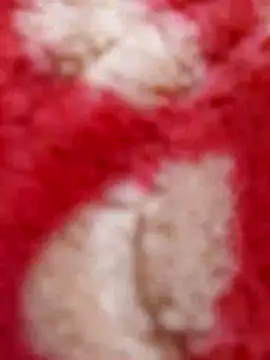 Snapshot of mhmia chatting on 02.08.25 mhmia online show from 02.08.25