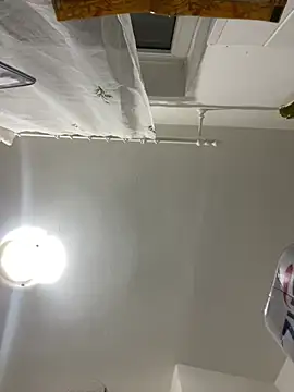 bunnythetailor online show from 02.24.26