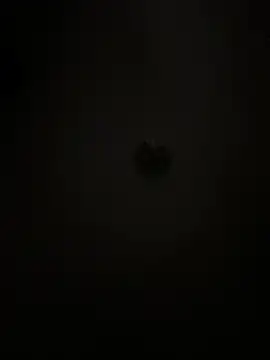 Boneca25 online show from 02.05.26