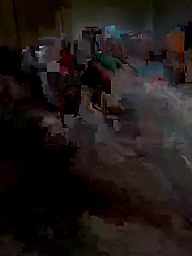 Snapshot of Ariba270 chatting on 11.01.25 Ariba270 online show from 11.01.25